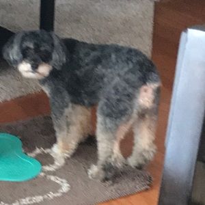 Meet your Posher, Tina